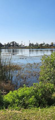 Parque del Sur